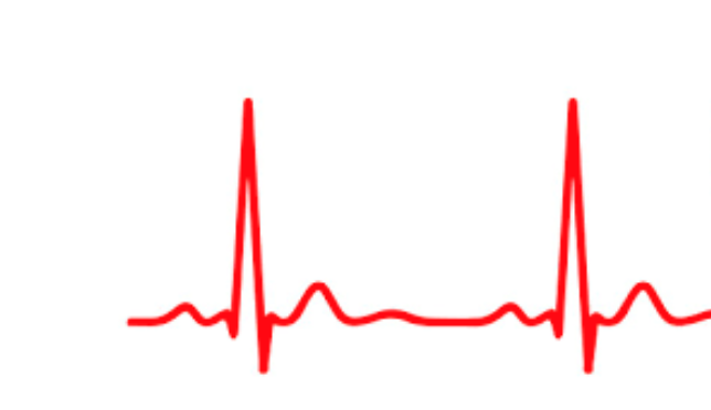 17 CPDs Basic ECG Course